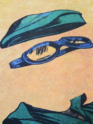 Print of hat and goggles and collar